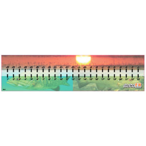 Sunset & Fish Hawg Tape Decal