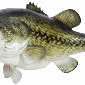 Largemouth Bass Decal