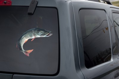 Fish-Decal-and-SUV-IMG_8054   